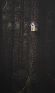 Preview wallpaper tree, birdhouse, forest, nature