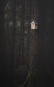 Preview wallpaper tree, birdhouse, forest, nature