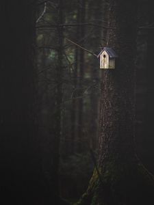 Preview wallpaper tree, birdhouse, forest, nature