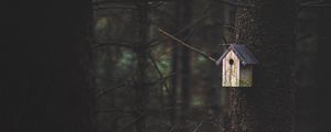 Preview wallpaper tree, birdhouse, forest, nature