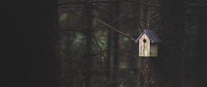 Preview wallpaper tree, birdhouse, forest, nature