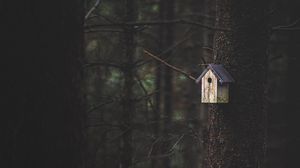 Preview wallpaper tree, birdhouse, forest, nature