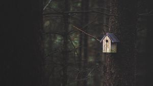 Preview wallpaper tree, birdhouse, forest, nature