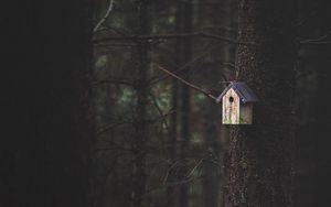 Preview wallpaper tree, birdhouse, forest, nature