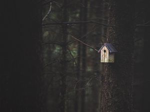 Preview wallpaper tree, birdhouse, forest, nature