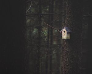 Preview wallpaper tree, birdhouse, forest, nature