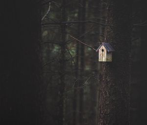 Preview wallpaper tree, birdhouse, forest, nature