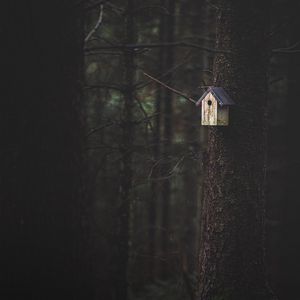 Preview wallpaper tree, birdhouse, forest, nature