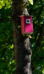 Preview wallpaper tree, birdhouse, leaves, nature