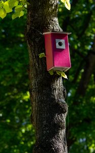 Preview wallpaper tree, birdhouse, leaves, nature