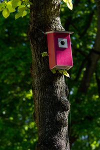 Preview wallpaper tree, birdhouse, leaves, nature