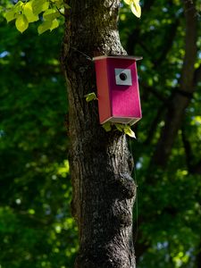 Preview wallpaper tree, birdhouse, leaves, nature