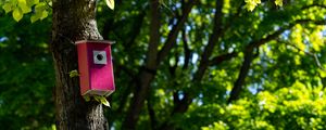 Preview wallpaper tree, birdhouse, leaves, nature