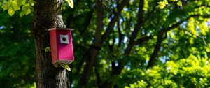 Preview wallpaper tree, birdhouse, leaves, nature