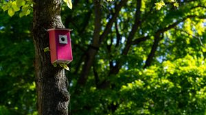 Preview wallpaper tree, birdhouse, leaves, nature