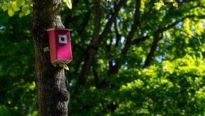 Preview wallpaper tree, birdhouse, leaves, nature