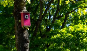 Preview wallpaper tree, birdhouse, leaves, nature