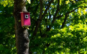 Preview wallpaper tree, birdhouse, leaves, nature