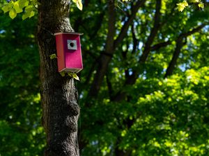 Preview wallpaper tree, birdhouse, leaves, nature