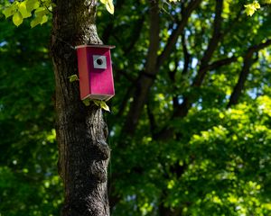 Preview wallpaper tree, birdhouse, leaves, nature