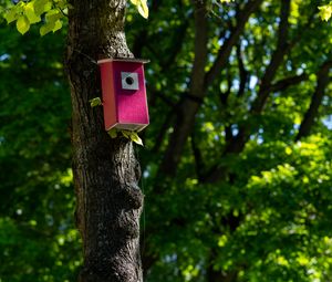 Preview wallpaper tree, birdhouse, leaves, nature