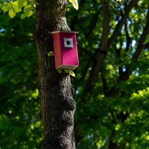 Preview wallpaper tree, birdhouse, leaves, nature