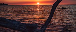 Preview wallpaper tree, branch, dry, sea, sunset, nature
