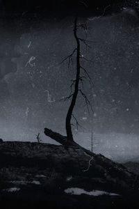 Preview wallpaper tree, branch, dry, silhouette, dark