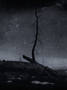 Preview wallpaper tree, branch, dry, silhouette, dark