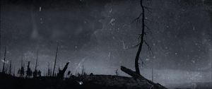 Preview wallpaper tree, branch, dry, silhouette, dark