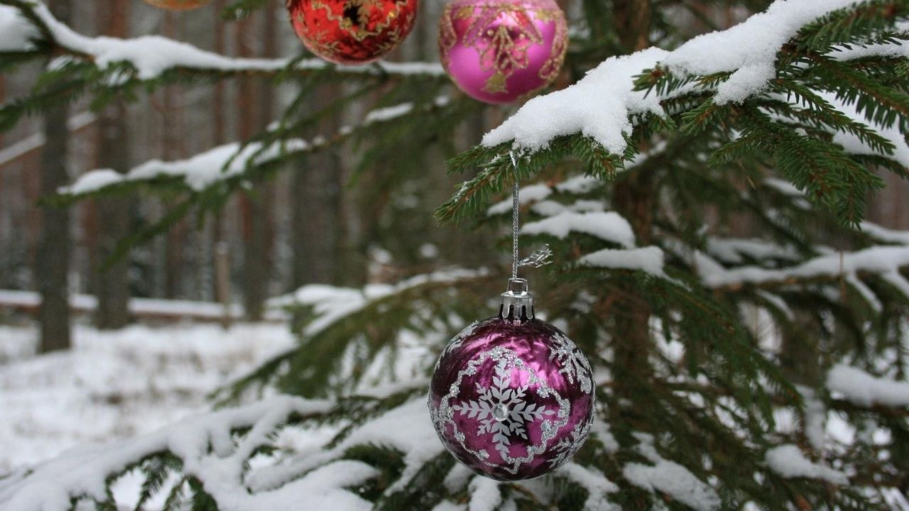 Wallpaper tree, branch, snow, balls, forest, holiday, new year