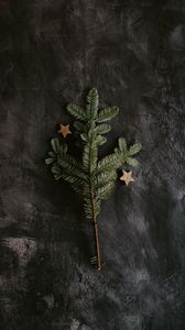 Preview wallpaper tree, branch, stars, decoration, new year