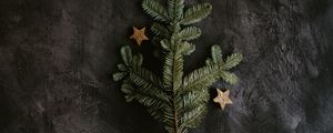 Preview wallpaper tree, branch, stars, decoration, new year