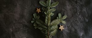 Preview wallpaper tree, branch, stars, decoration, new year