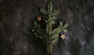 Preview wallpaper tree, branch, stars, decoration, new year