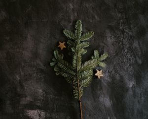 Preview wallpaper tree, branch, stars, decoration, new year