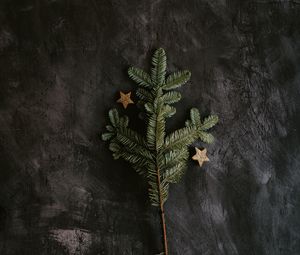 Preview wallpaper tree, branch, stars, decoration, new year
