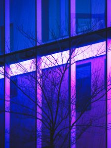 Preview wallpaper tree, branches, building, facade