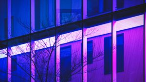 Preview wallpaper tree, branches, building, facade