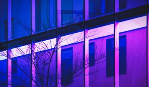 Preview wallpaper tree, branches, building, facade