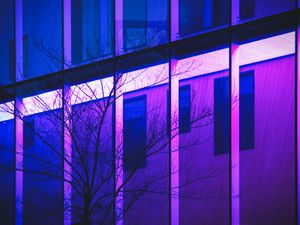 Preview wallpaper tree, branches, building, facade