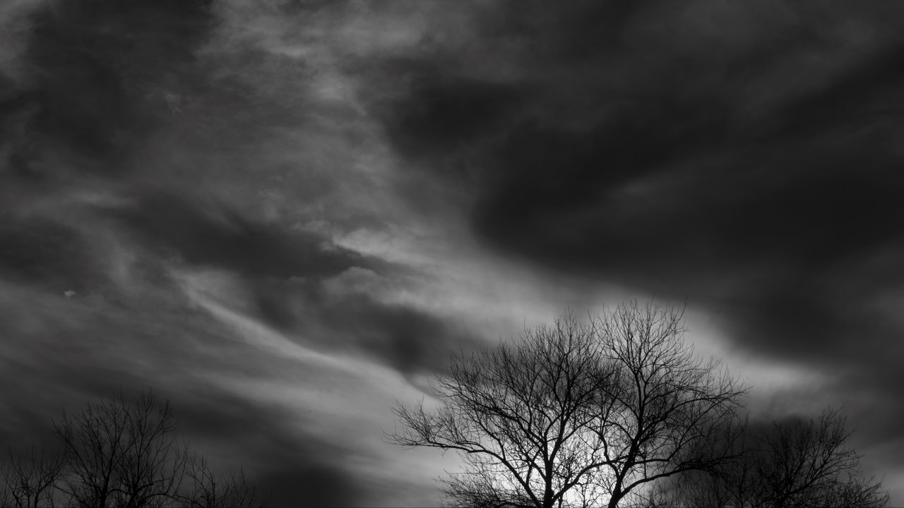 Wallpaper tree, branches, clouds, twilight, black and white, dark