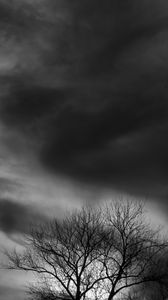 Preview wallpaper tree, branches, clouds, twilight, black and white, dark