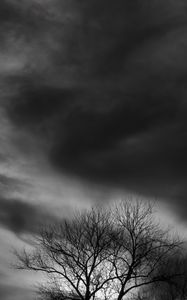 Preview wallpaper tree, branches, clouds, twilight, black and white, dark