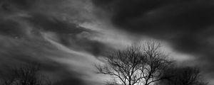 Preview wallpaper tree, branches, clouds, twilight, black and white, dark