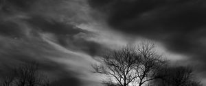 Preview wallpaper tree, branches, clouds, twilight, black and white, dark