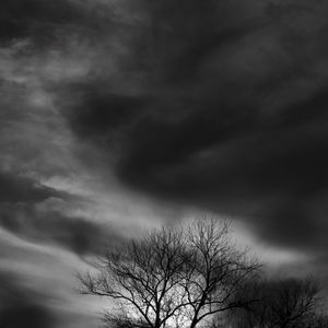 Preview wallpaper tree, branches, clouds, twilight, black and white, dark