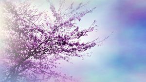 Preview wallpaper tree, branches, flowers, spring, luminescence
