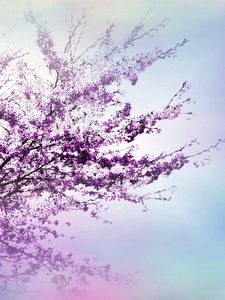 Preview wallpaper tree, branches, flowers, spring, luminescence
