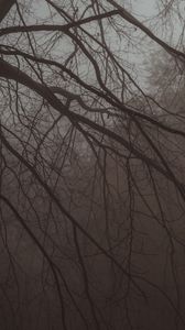 Preview wallpaper tree, branches, fog, haze, dark
